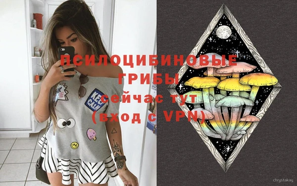 молекула духа Алексин