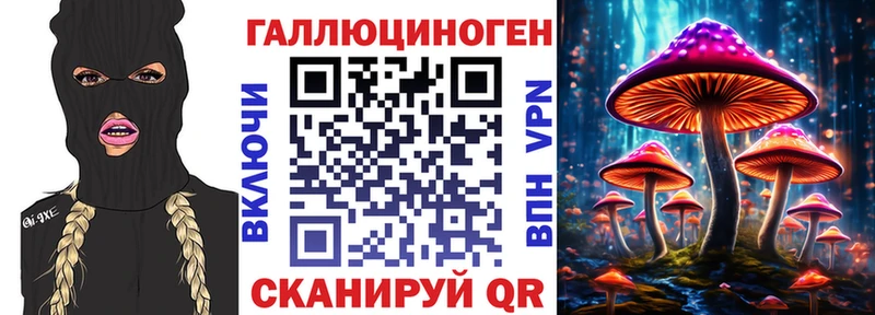 Псилоцибиновые грибы мицелий закладка Дрезна